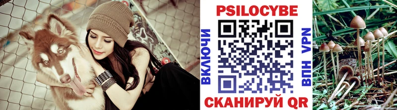 Псилоцибиновые грибы Cubensis  Электросталь 